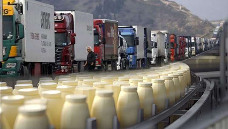 صادرات محصولات دام و طیور استان مرکزی شتاب گرفت/ رشد ۱۷۳ درصدی صادرات لبنیات